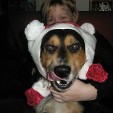 Blanding af racer Apollo