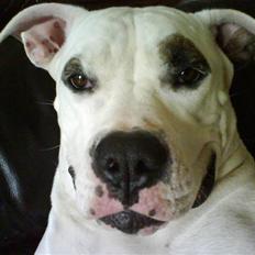 Blanding af racer Messy