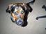 Blanding af racer Bosco - Be´om den godbid NUUUU.....