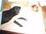 Labrador retriever Willi * aflivet :'( *