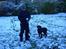 Labrador retriever Ice man (Ludvig) - Ludvig´s første sne . :)