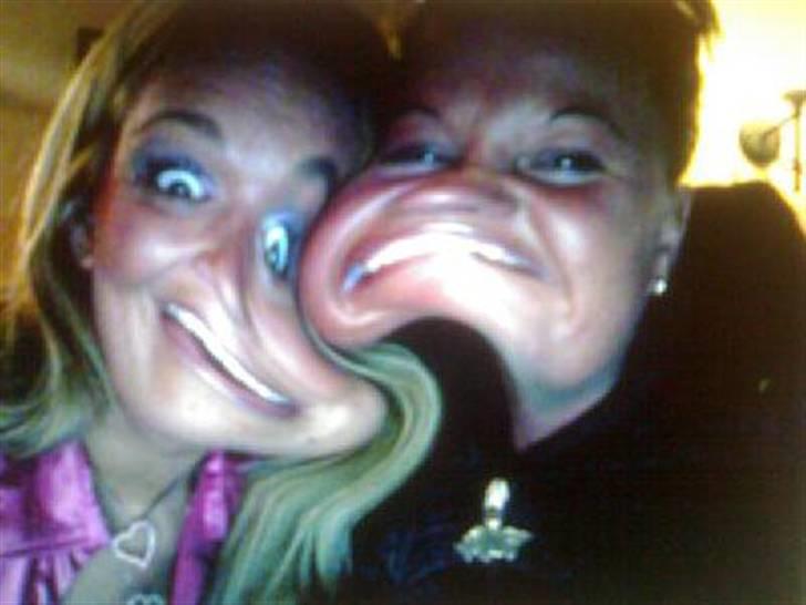 Amerikansk bulldog Topp Magic Manse R.I.P  - Mor.... (til højre) Når hun kønnest..... billede 17