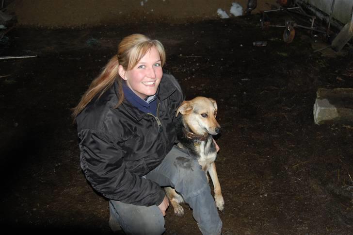 Blanding af racer Buffy  - Her er jeg sammen med mor på den nye gård. Gulvet var lige blevet lagt, så vi tog lige en pause :) billede 15