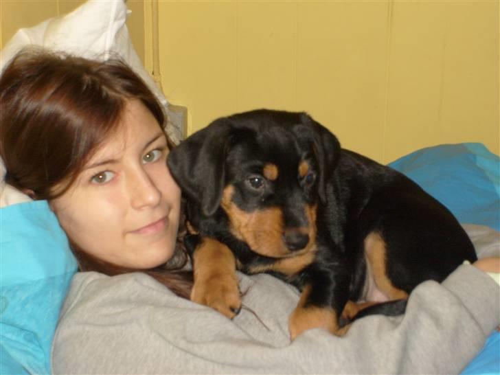 Blanding af racer Luna - Solgt.. billede 2