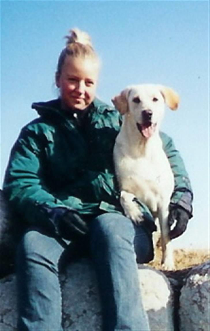 Blanding af racer Trista billede 9