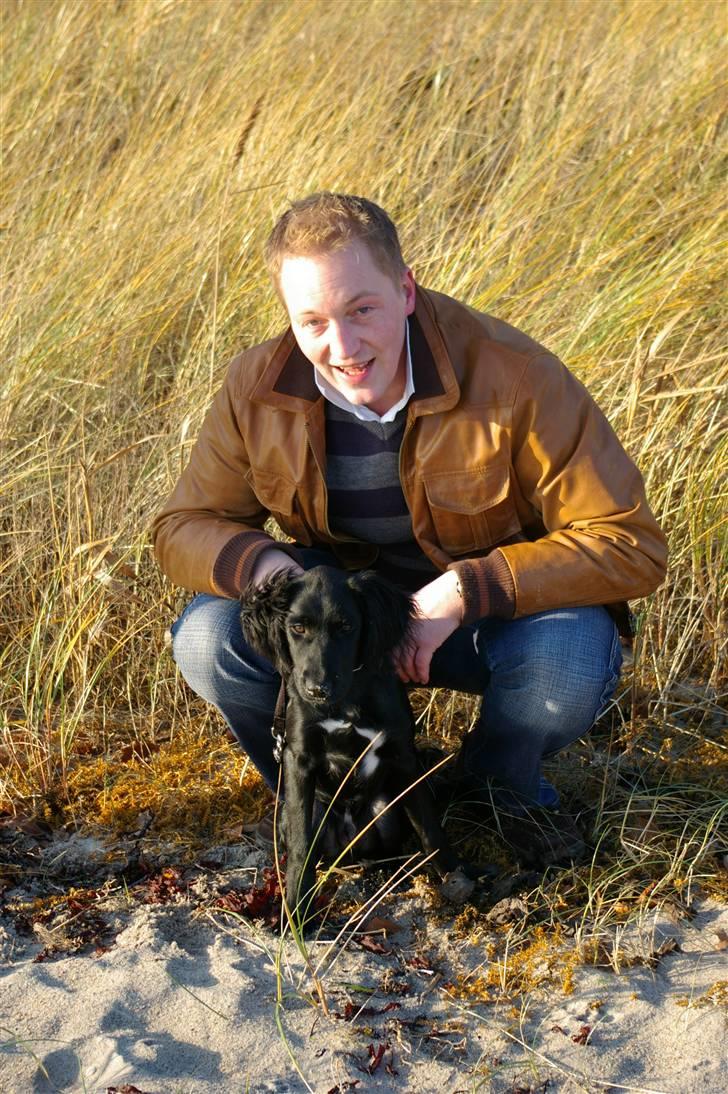 Blanding af racer Topper - Topper og far billede 9