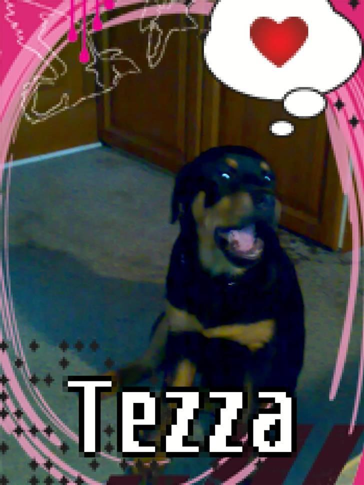 Rottweiler Tezza - vores skønne lille hundepige billede 9