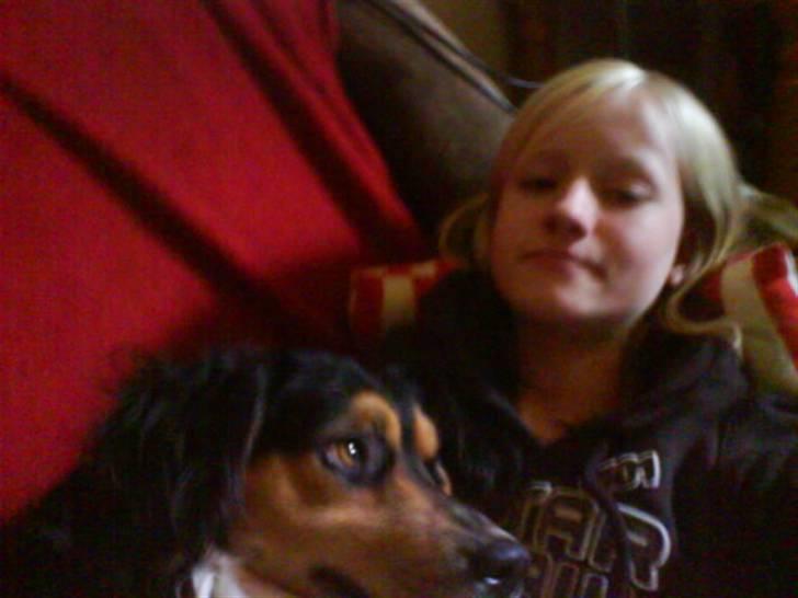 Blanding af racer Apollo - Hygger Apolle og jeg (: grimt men skidt (: billede 10