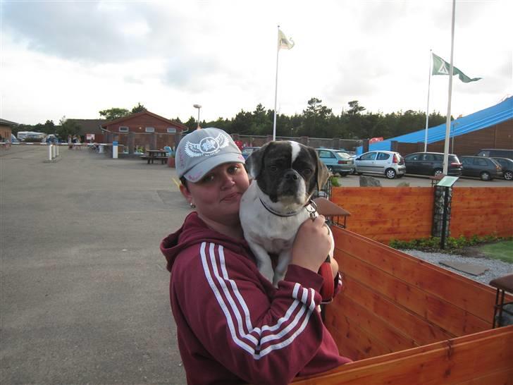 Blanding af racer Coco (21.05.07 - 01.05.19)  - rå hygge, Lise og mig kigger på mini golf, vi er på hundelejer i Nymindegab  uge 28 ´09 billede 20