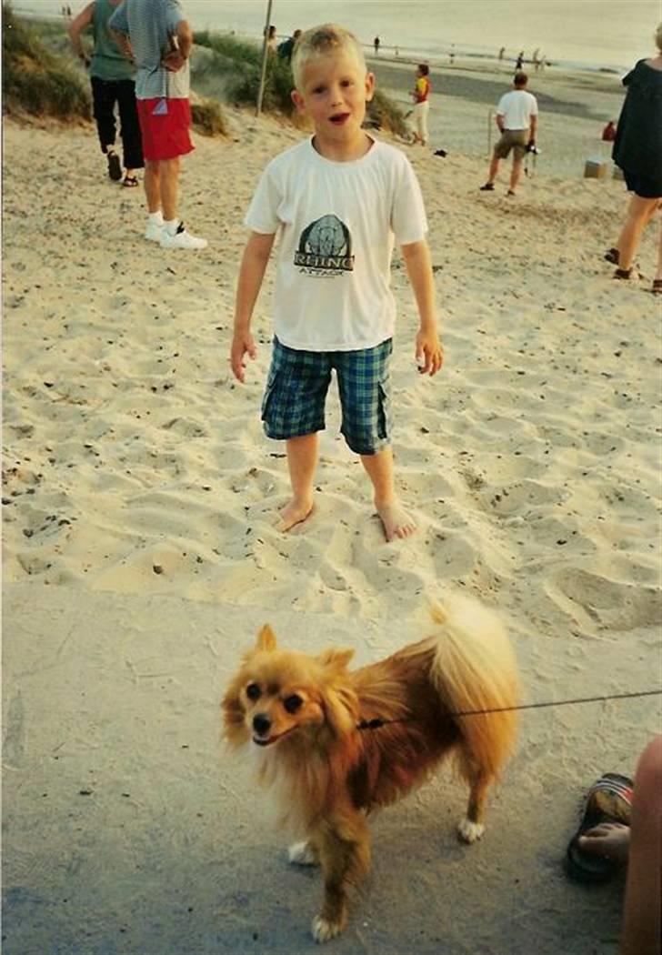 Blanding af racer Bella - Min bror og Bella ved Vesterhavet, d. 19. juli 2001. billede 11