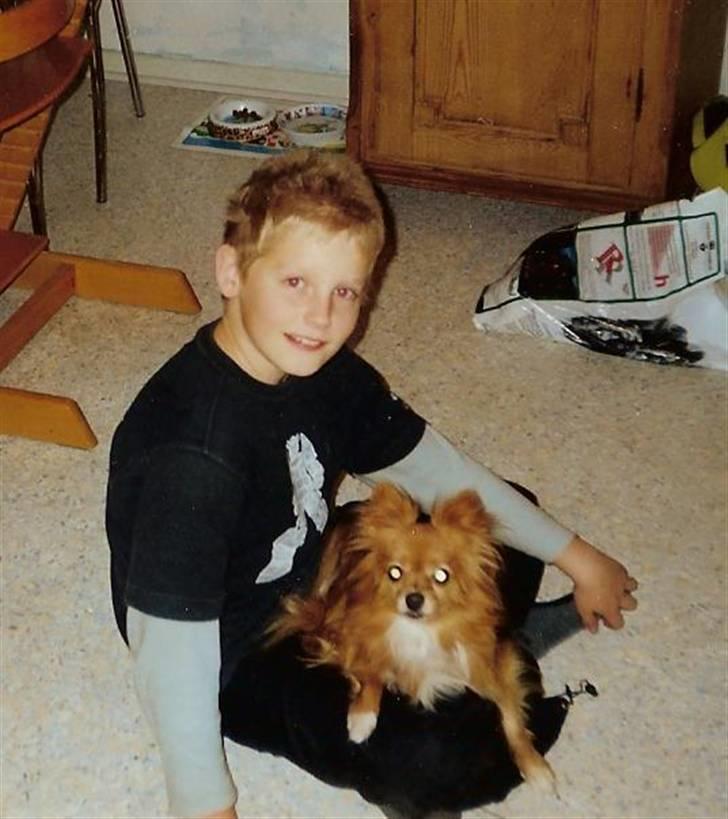 Blanding af racer Bella - Min bror og Bella. billede 12