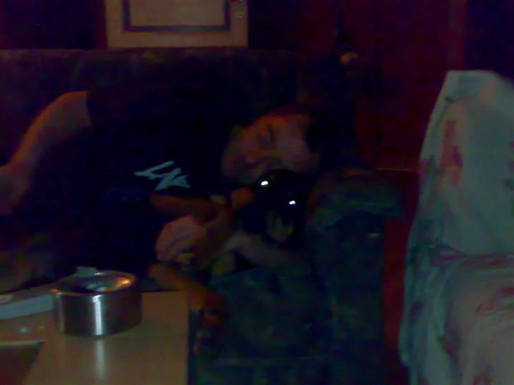 Rottweiler Tezza - tja- hvad skal man sige til det ?  billede 12