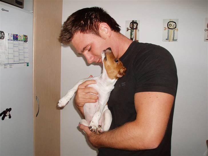 Dansk svensk gaardhund Liva - Liva og Martin - ren kærlighed. billede 11