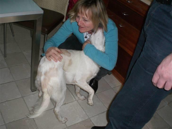 Blanding af racer Honey - honeys yndlings person i hele verden er min mor :D billede 16