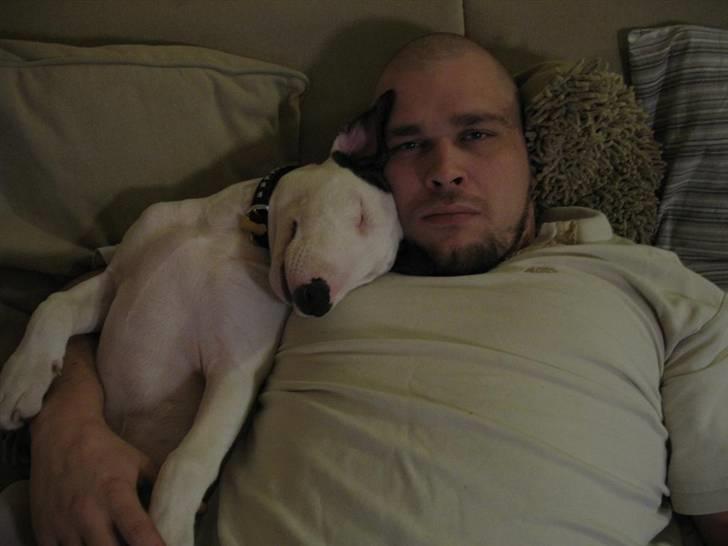 Bullterrier BILLA - mig og far billede 9