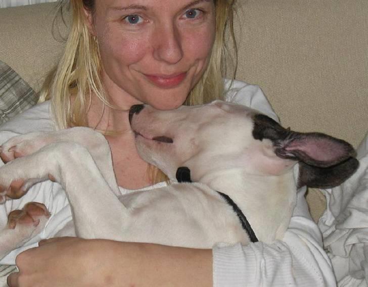 Bullterrier BILLA - sover helst hos mor billede 13