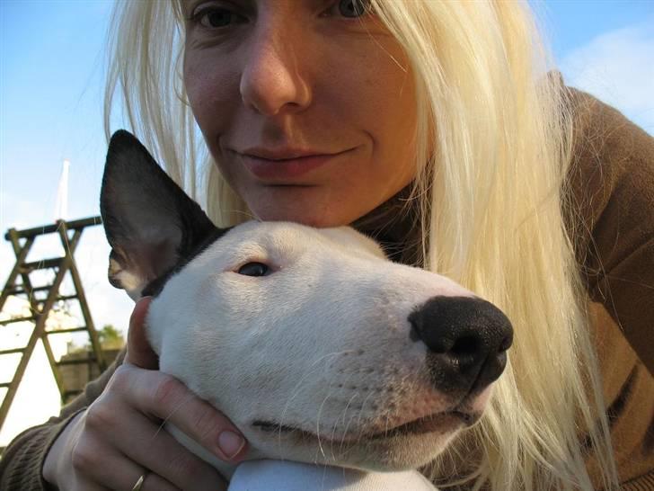 Bullterrier BILLA - mig og mor i haven billede 16