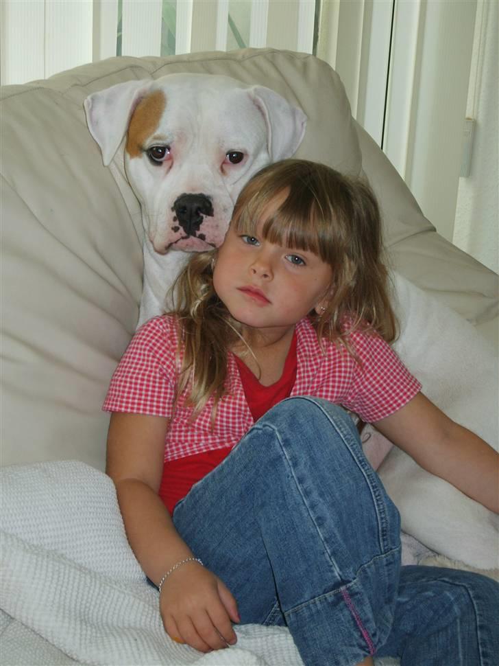 Amerikansk bulldog Xena (R.I.P mors øjesten) - Min datter Malou og Xena :) billede 10