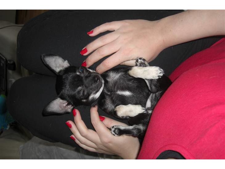 {{currentPhoto.altText}} billede {{currentPhoto.number}}