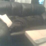 Blanding af racer Basse