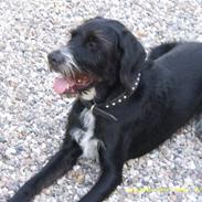 Blanding af racer Jeppe