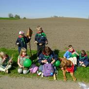 Broholmer Sarus    Sille