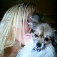 Blanding af racer Kenzo (død)