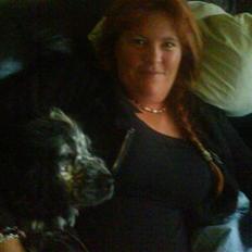 Cocker spaniel Charli