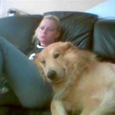 Blanding af racer simba