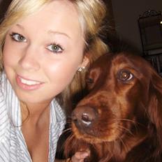 Irsk setter Lohmans Norma