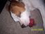 Blanding af racer Kira R.I.P