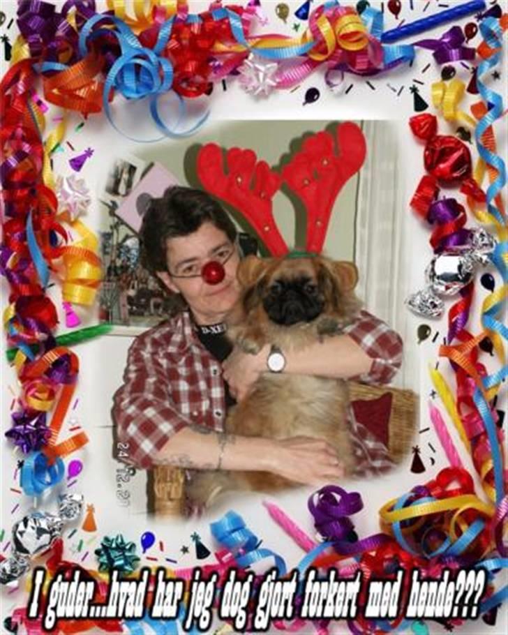 Pekingeser Christian billede 9