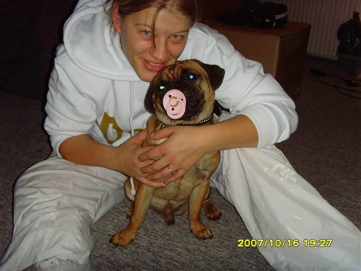 Blanding af racer Magnus - Min sut!!! billede 15