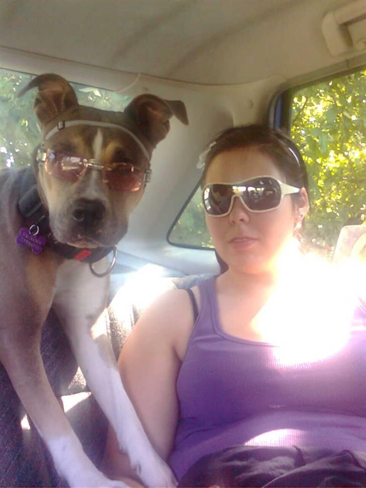 Blanding af racer Joy - Faster og Joy med solbriller :D billede 6