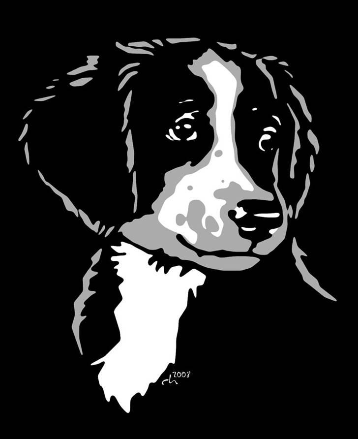 Blanding af racer Bailey - Vi takker for billedet, tegnet af : Ch *hende den dumme * billede 11