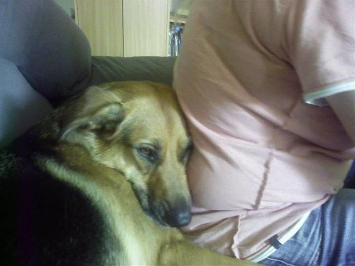 Blanding af racer Britney - Jeg var her altså først billede 20