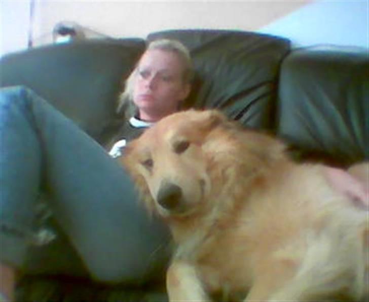 Blanding af racer simba billede 1