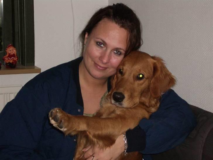 Golden retriever Missy billede 9