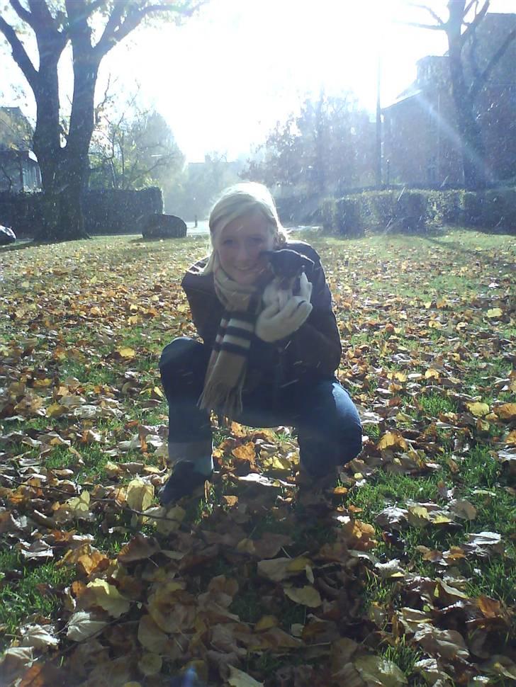 Blanding af racer Chloé billede 2