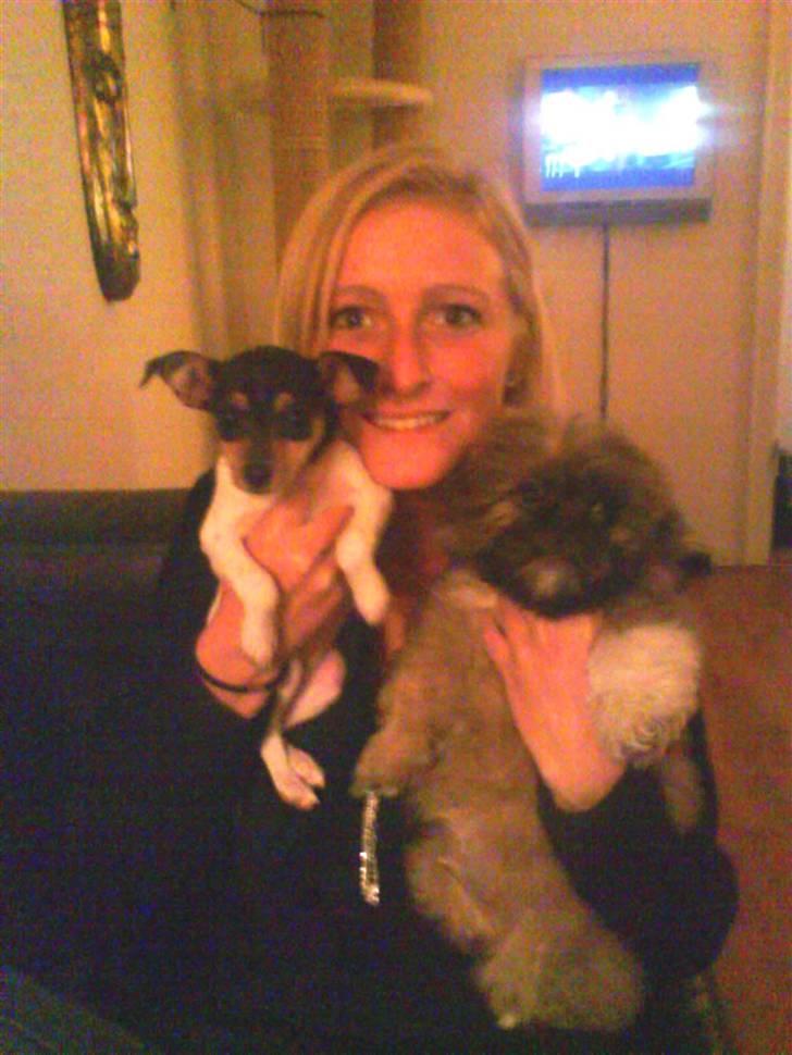 Blanding af racer Chloé billede 5