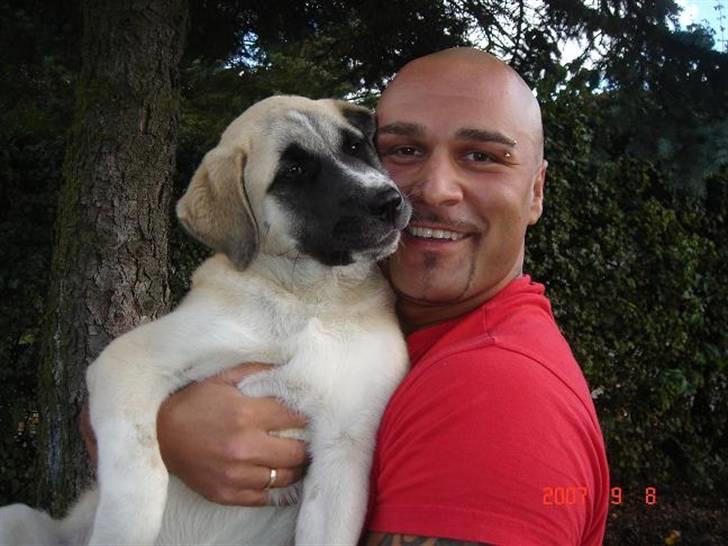 Kangal lady billede 1