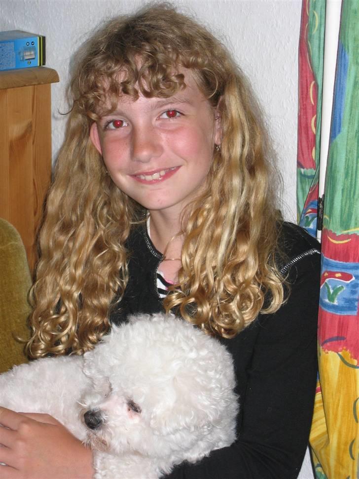 Bichon à poil frisé Bonnie <3 † DØD † R.I.P - R.I.P billede 15
