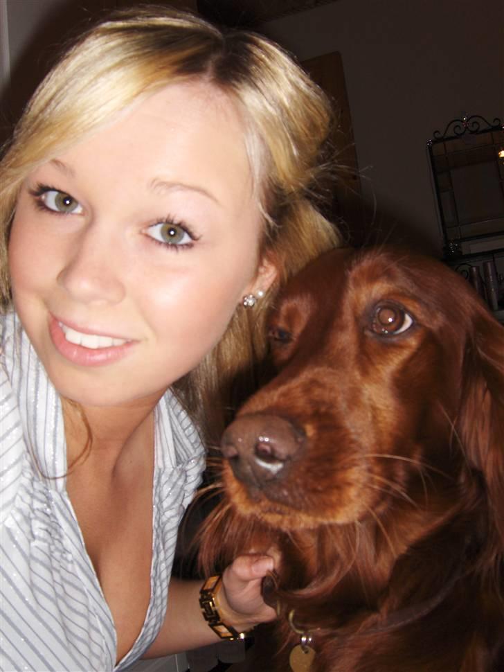 Irsk setter Lohmans Norma - Mig og Chica (L) billede 1