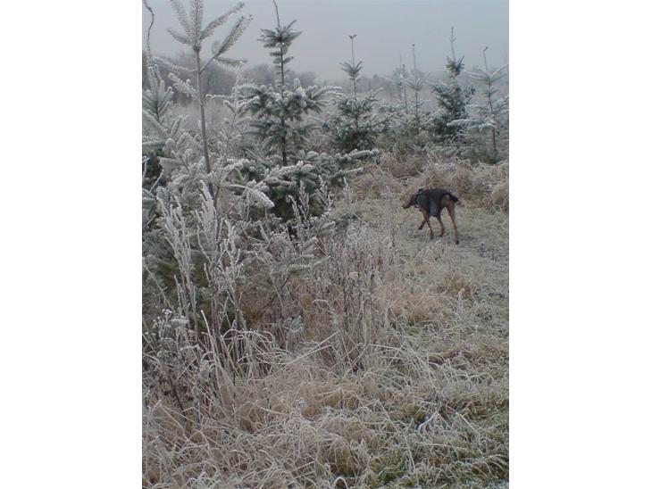 {{currentPhoto.altText}} billede {{currentPhoto.number}}