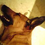 Blanding af racer Ugly