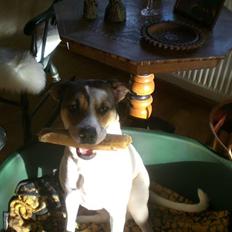 Blanding af racer Freja