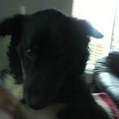 Blanding af racer Twist