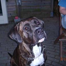 Blanding af racer My