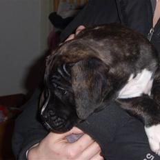 Blanding af racer My