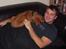 Rhodesian ridgeback cobi